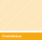 Consulenza